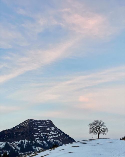 Schneelandschaft mit einzelnem Baum und Menschen darunter, Himmel zeigt eine Sonnenuntergangsstimmung und einen Berg 